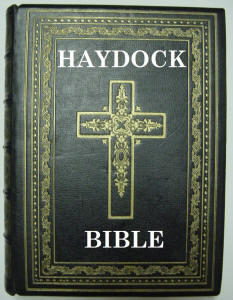 Cover of the ebook version of the Haydock Bible